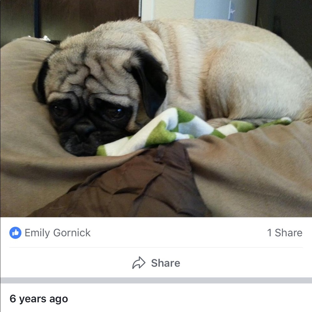 Meet your Posher, Sierra